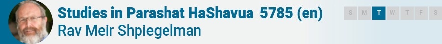 Studies in Parashat HaShavua